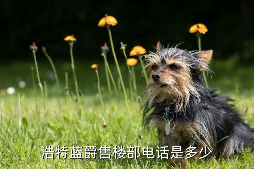 藍爵國際幼兒園價格,蕭山藍爵國際幼兒園...